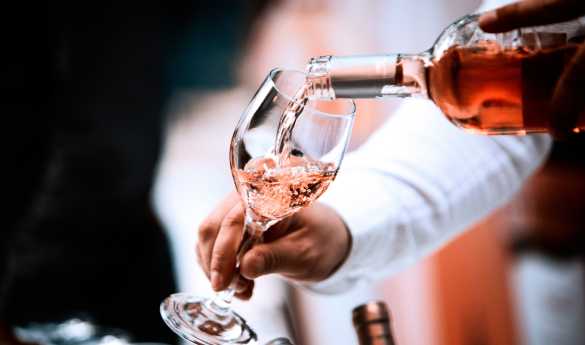 Exclusive private wine tasting at Dona Maria Winery