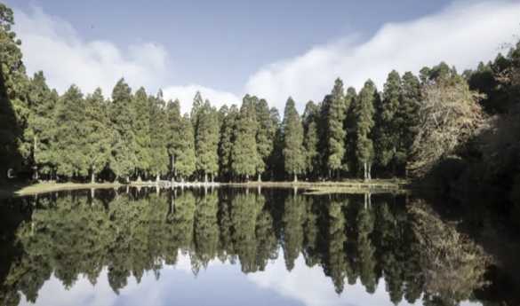 Hike through the Black Mysteries - Terceira Island