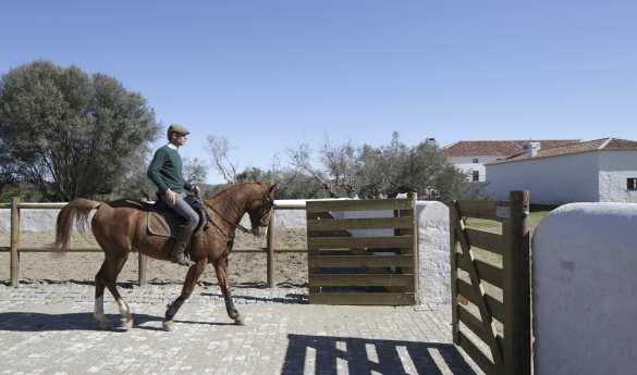 Horse riding at Sao Lourenco do Barrocal