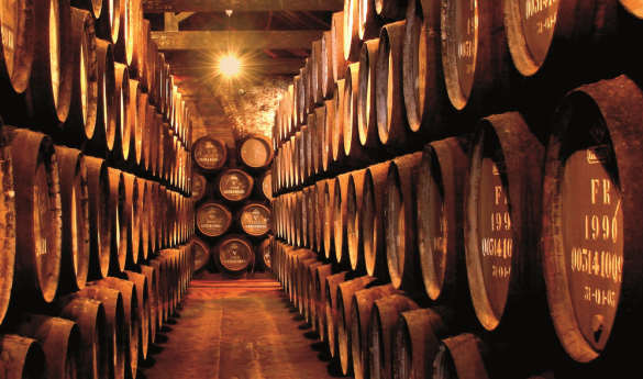 Private After Hours Visit to Taylor's Port Cellars