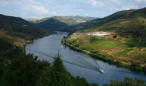 Private boat trip on the Douro