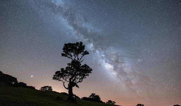 Private Stargazing at Observatorio do Lago Alqueva
