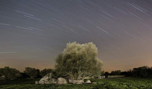 Stargazing at Sao Lourenco do Barrocal