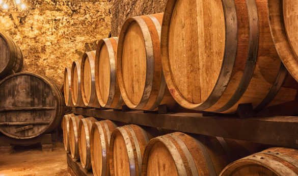 Tour of Taylor's Port Cellar