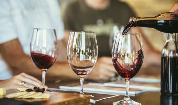 Wine tasting and lunch at Quinta do Casal Branco