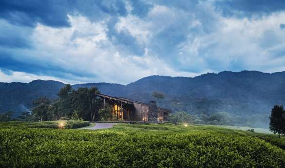 One&Only Nyungwe House