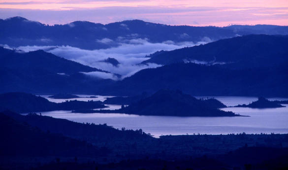 Experiences and activities in the Virungas