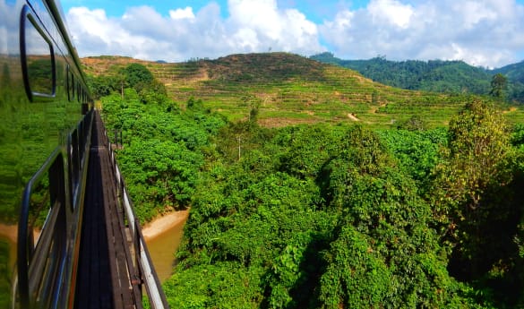 Eastern & Oriental - Wild Malaysia Day 4