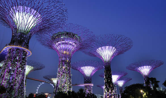 City Tour and Gardens By the Bay