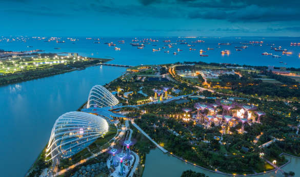 Singapore City Tour with a visit to the National Orchid Gardens