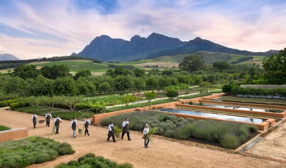 Babylonstoren