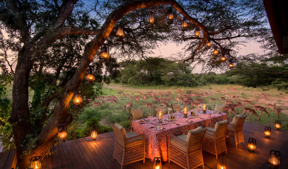 &Beyond Phinda Vlei Lodge