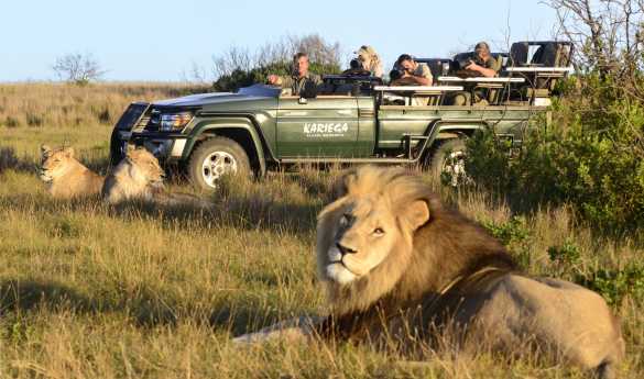 Kariega River Lodge