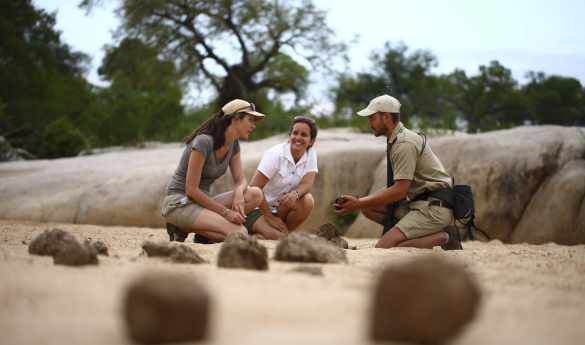 Activities at &Beyond Ngala