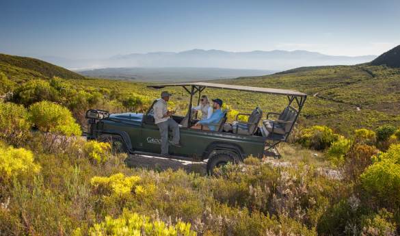 Activities at Grootbos