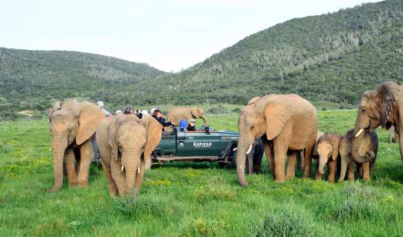 Activities at Kariega