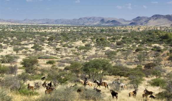 Activities at Tswalu