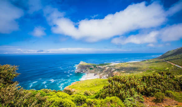 Cape Peninsula - Family