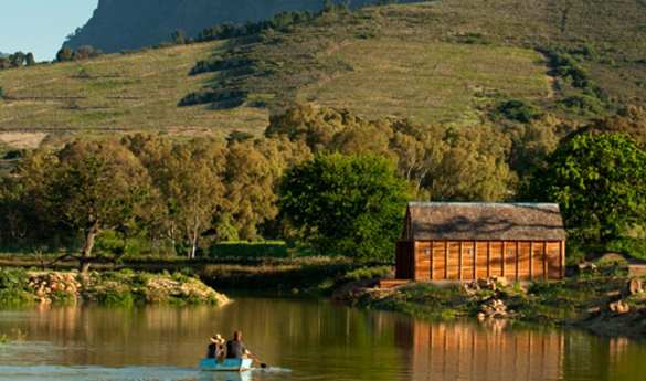 Out and about at Babylonstoren