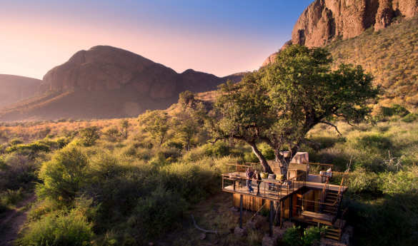 Thabametsi Treehouse Sleepout