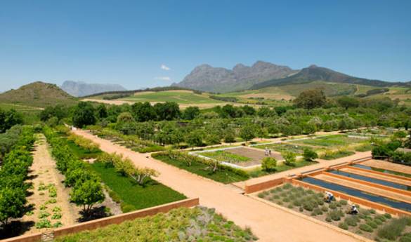The Garden at Babylonstoren