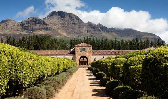 Waterford Estate Vineyard Safari