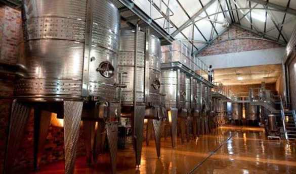 Wine at Babylonstoren