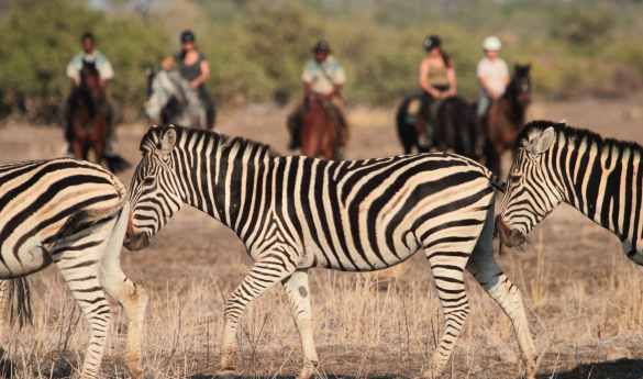 Family Fun in South Africa