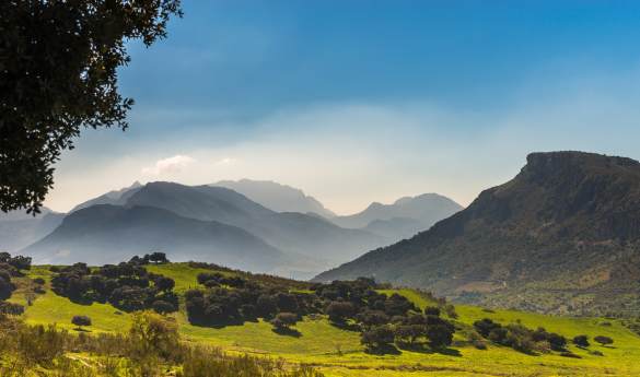 Nature walks at La Donaira