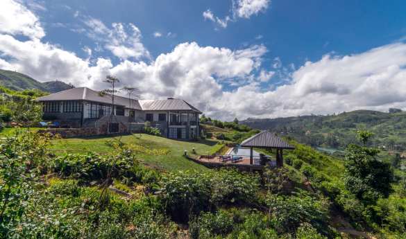 Camellia Hills
