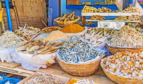 Colombo - Mark Forbes Walk