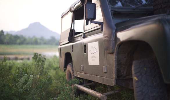 Gal Oya Lodge - Jeep Safari and Walk through Nilgala