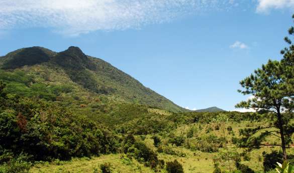 Trekking in the Knuckles Range