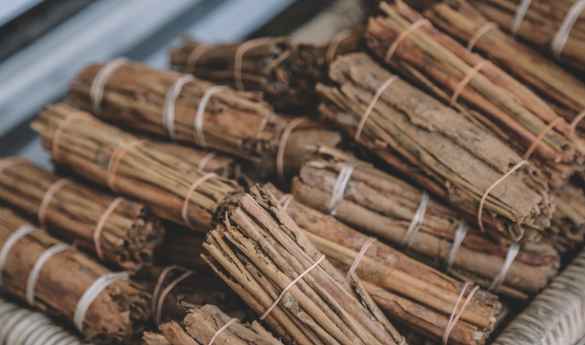 Visit a Cinnamon Plantation
