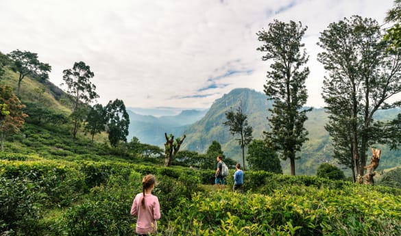 Family Time in Sri Lanka: Wildlife Adventure & Coastal Bliss