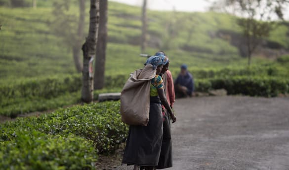 Meaningful Sri Lanka - A journey with impact