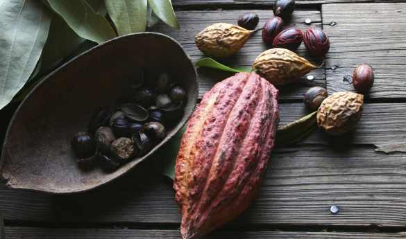 Caribbean Culinary Odyssey: St. Lucia & Grenada