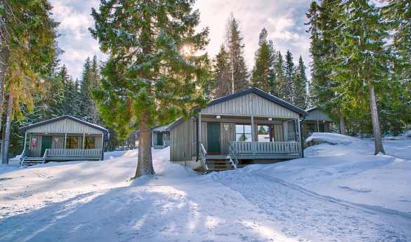 Brandon Lodge