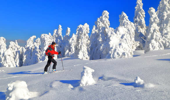 Cross-country skiing in Lulea