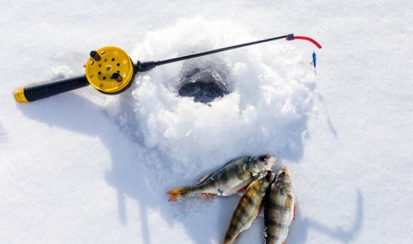Ice fishing at the Treehotel
