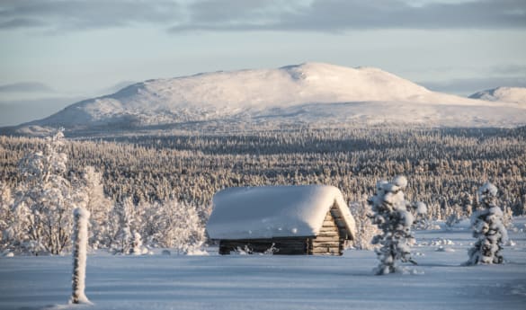 Linkka Package at Fjellborg Arctic Lodge - 3 days/2 nights