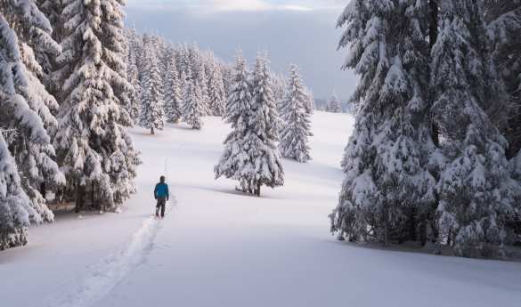 Nordic Winter Skills snowshoe walk