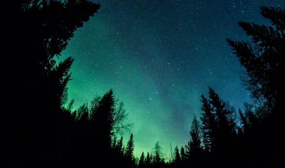Northern Lights Safari at Sörbyn Lodge