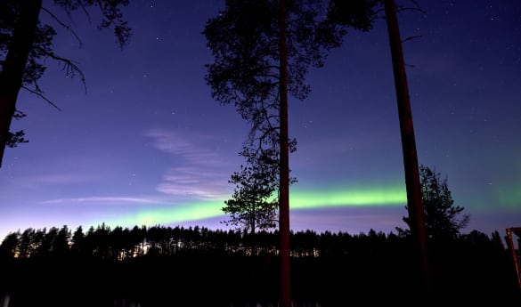 Northern Lights Snowshoe walk at Arctic Retreat