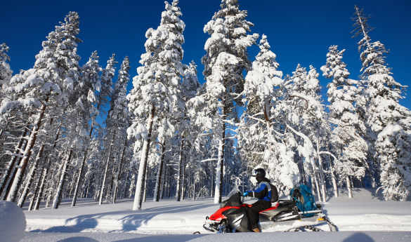 Snowmobiling at Lapland Guesthouse