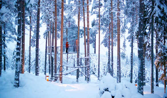 Epic Swedish Lapland