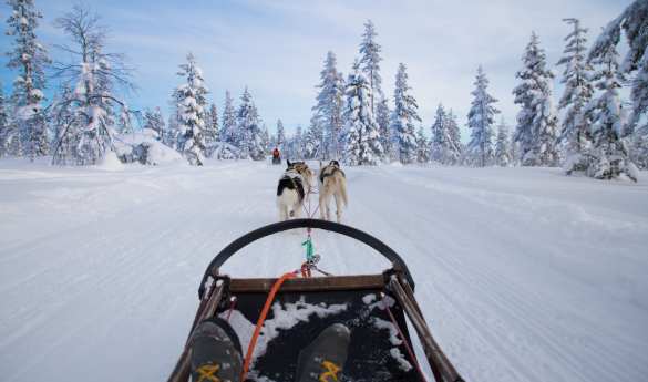 Family Fun in Sweden