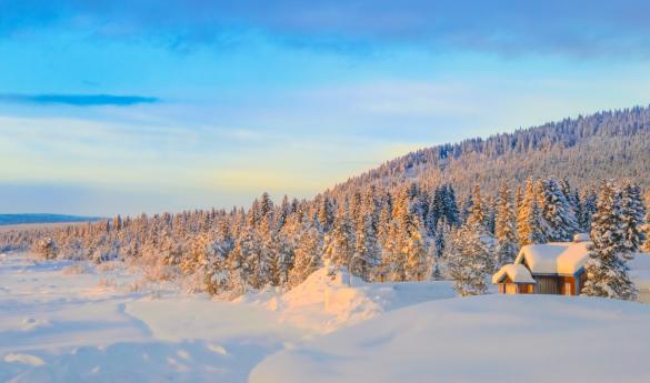 Ultimate Swedish Lapland