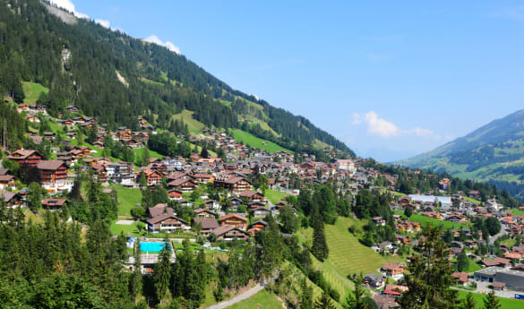 The Cambrian Adelboden