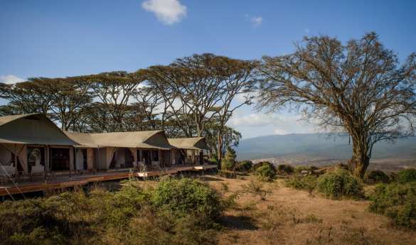 Entamanu Ngorongoro